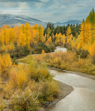 N. Fork, Flathead River Montana