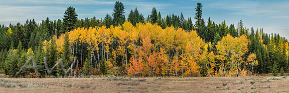Fall In Montana